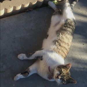 Meet your Posher, Nje